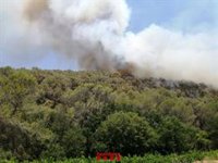 Declarat un nou incendi de vegetació forestal a Olivella (Barcelona)