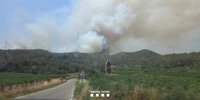 L'incendi d'Olivella (Barcelona) ja afecta unes 40 hectàrees