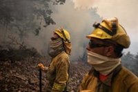 El incendio en la Sierra de la Culebra obliga a cortar el AVE a Galicia