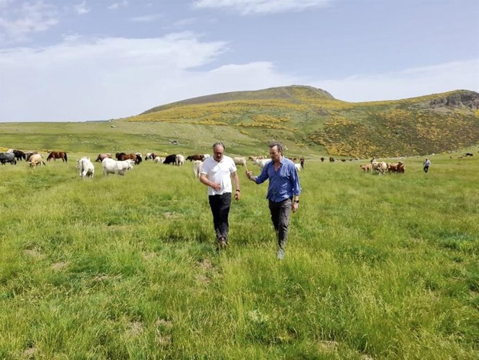 El consejero en la subida del ganado al puerto de Pineda
