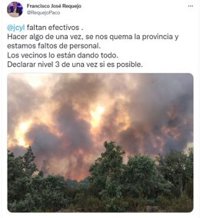 Diputación de Zamora a la Junta: "Hacer algo de una vez, se nos quema la provincia. Declarar nivel 3"