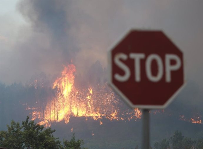 Uno de los incendios declarados este sábado en Navarra.