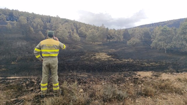 Un agente observa una de las zonas afectadas por el fuego