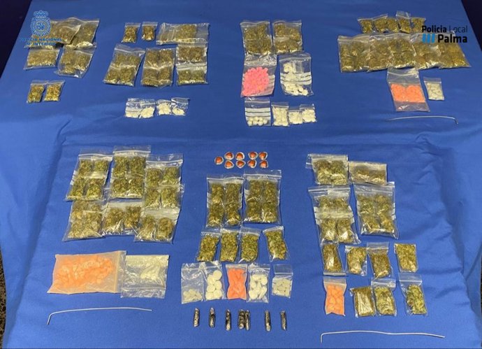 Droga intervenida en la operación 'Container' llevada a cabo por agentes de la Policía Nacional, en colaboración con la Policía Local de Palma.