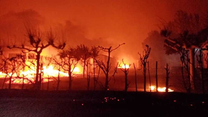 Bomberos del CEIS Rioja ayudan a extinguir un incendio en el entorno de Valtierra (Navarra)