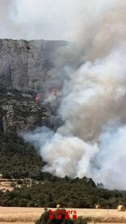 Un incendi forestal a Peramola (Lleida) afecta unes 25 hectrees