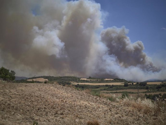 Columnas de humo en un incendio en la comarca de Tafalla.