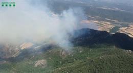 Incendio forestal en Peramola (Lleida)