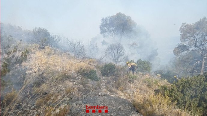 Imatge de l'incendi que vegetació entre Bot i Horta de Sant Joan (Tarragona)