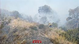 Imagen del incendio que vegetación entre Bot y Horta de Sant Joan (Tarragona)