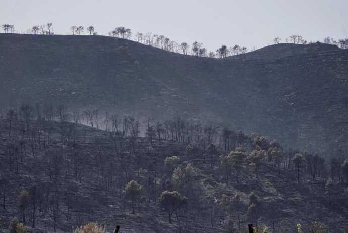 El incendio de Nonaspe este domingo.