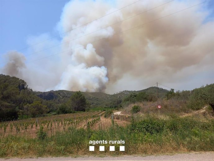 El incendio forestal en Olivella (Barcelona)