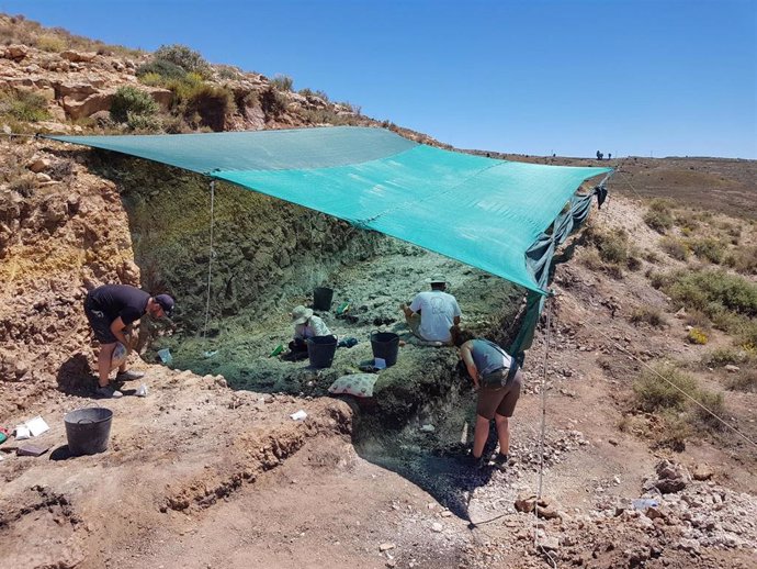 Paleontólogos buscan fósiles de félidos "dientes de sable" en Teruel.