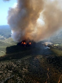 L'incendi d'Olivella (Barcelona) afecta el Massís del Garraf