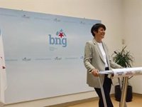 Pontón (BNG) ve un "un error" hacer lecturas generales de las elecciones andaluzas