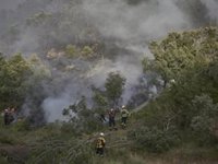 La situación de los incendios en Navarra sigue siendo "sensible y delicada" con dos focos aún "intensamente activos"