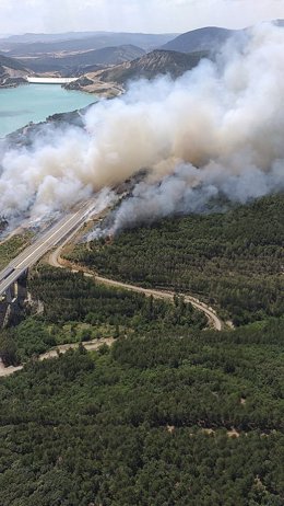 Incendio en Sigüés (Zaragoza) que causa afecciones en la A-21.