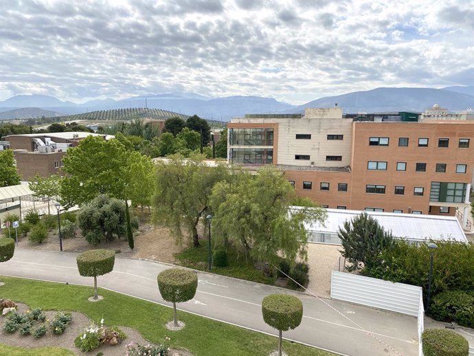 Archivo - Campus de las Laagunillas de la UJA.