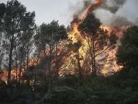 Entra en fase de estabilización el incendio de la sierra de El Perdón