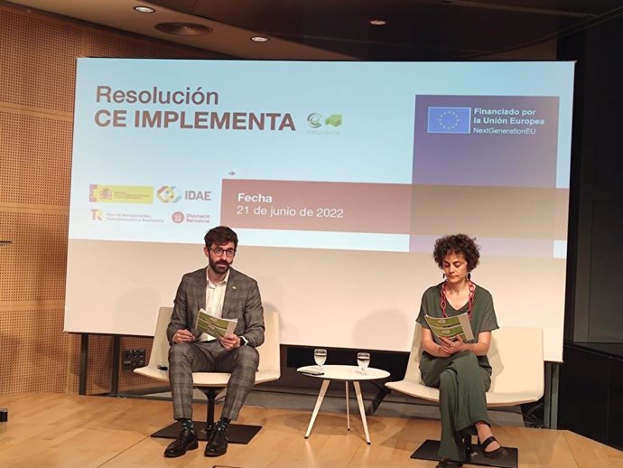 El director general del Instituto para la Diversificación y Ahorro de la Energía (Idae), Joan Groizard, y la técnico del departamento de gestión de la demanda e integración de renovables del Idae, Sara de la Serna