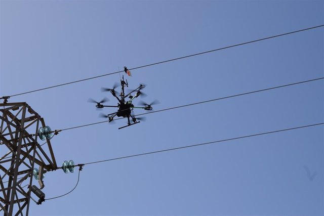 Endesa adecúa con un dron la línea en el Parque Natural de Ses Salines para minimizar el riesgo para aves.