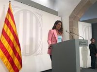 La Generalitat afirma que el COE "no ha dicho que no" a una candidatura en solitario de Catalunya
