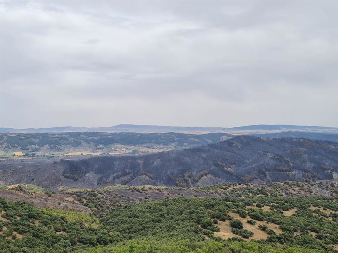 Superficie arrasada por el incendio de Castejón de Tornos.