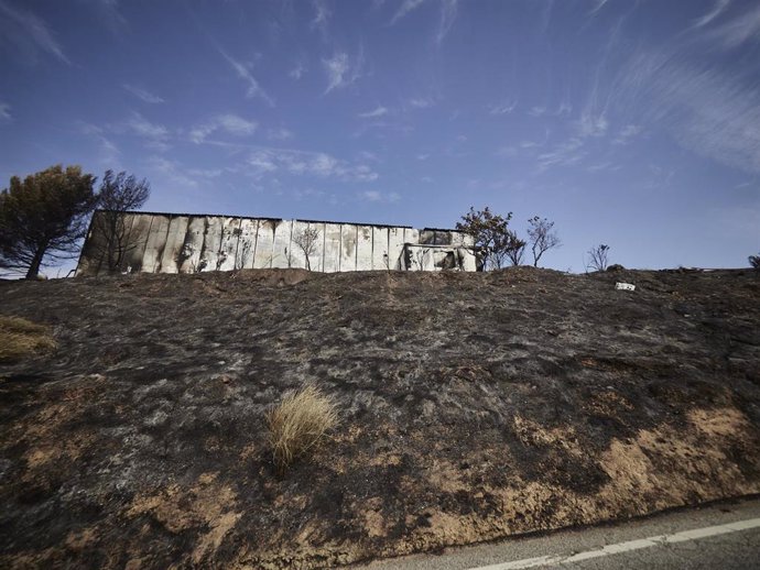 Hectáreas afectadas por el fuego de San Martín de Unx, a 21 de junio de 2022, en San Martín de Unx, Navarra (España). Desde el pasado 18 de junio, Navarra se ve azotada por los incendios forestales provocados por la ola de calor y otros factores determi