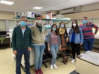 Investigadores de Sevilla adescubren el sistema de control de las células para distribuir las proteínas