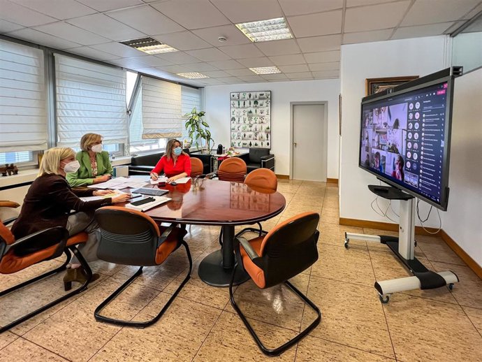 Archivo - La consejera de Educación y Formación Profesional, Marina Lombó, preside una reunión telemática con orientadores de centros educativos