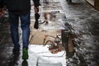 Así ha sido la primavera en la Comunitat: cálida, extremadamente húmeda y con grandes contrastes de temperatura