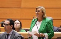Carmen Pobo (PP) exige a Ribera que firme el convenio de transición justa que prometió a los andorranos