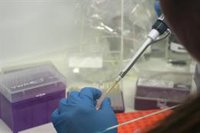 Unos 20.000 investigadores de universidades y centros públicos de España se jubilarán desde hoy a 2030, según Morant