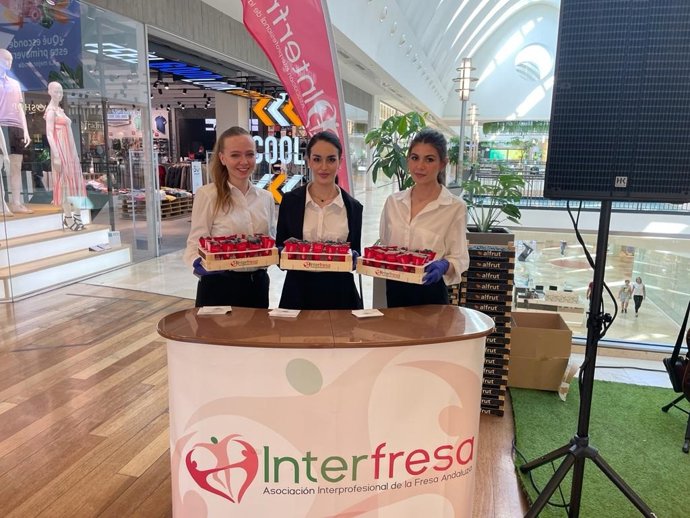 Archivo - Reparto de arándanos en Madrid por parte de Interfresa. Archivo. 