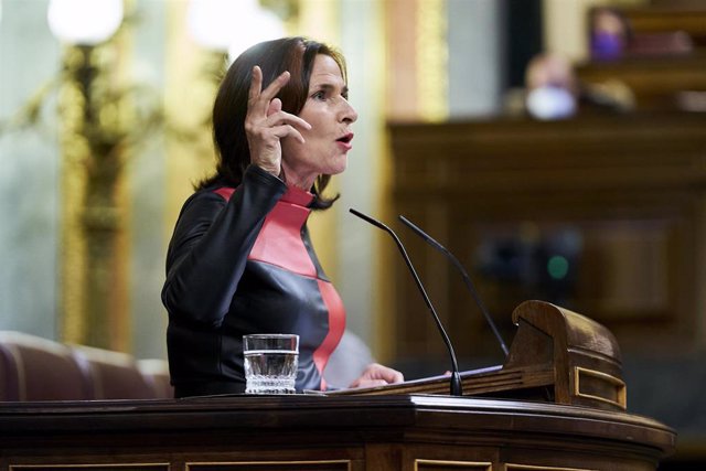 Archivo - La diputada del PSOE, María Luz Martínez Seijo, interviene en una sesión plenaria en el Congreso de los Diputados, 