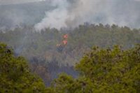Los Bombers dan por estabilizado el incendio de Sant Pere de Ribes (Barcelona)