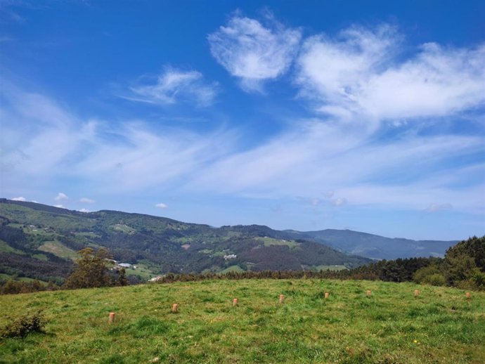 Nubes y claros en Bizkaia