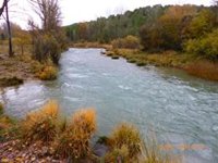 C-LM convoca a bancos, cajas y asociaciones a colaborar en la tramitación de licencias de caza y pesca por alta demanda