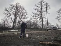 Se levanta la prohibición de realizar labores agrícolas con cosechadoras tras estabilizarse los incendios