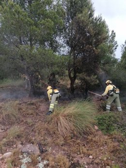 Trabajos de extinción en un incendio declarado tras la caída de un rayo en Jumilla