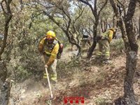 Los Bombers prevén controlar el incendio de Artesa (Lleida) "en las próximas horas"