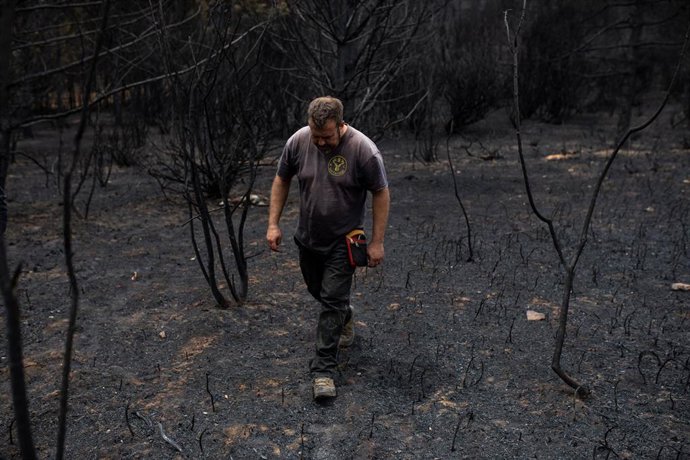 Una persona camina en el estado en el que se ha quedado la zona tras el incendio sofocado hace dos días e iniciado el pasado día 15 en la Sierra de la Culebra, a 21 de junio de 2022, en Villardeciervos, Zamora, Castilla y León (España). 