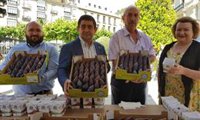 La IX Muestra Provincial de la Breva de Jimena (Jaén) llevará este producto a nueve municipios de la provincia