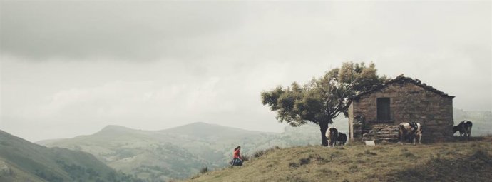 Fotograma de la película ' Hazlo por mí'