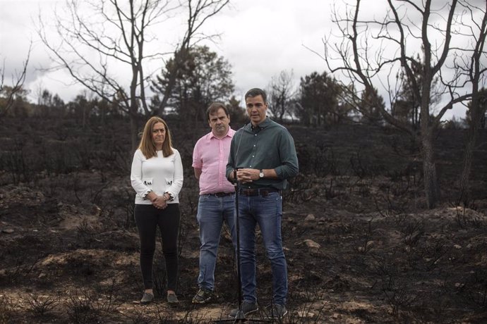 Intervención de Pedro Sánchez, junto a la delegada del Gobierno en CyL y el alcalde de Otero de Bodas, en una de las zonas afectadas por el incendio de la Sierra de la Culebra.