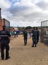 Dos detenidos en Sanlúcar (Sevilla) por maltrato y abandono a cabras y caballos causando situaciones de riesgo