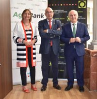 CaixaBank y Cooperativas Agro-alimentarias de Andalucía firman un acuerdo para financiar la modernización del olivar