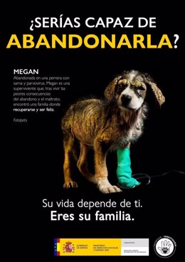 La Dirección General de Derechos de los Animales lanza una campaña para evitar el repunte del abandono animal que se produce en verano.