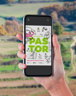 Guia per a futurs pastors per combatre l'abandonament de l'ofici