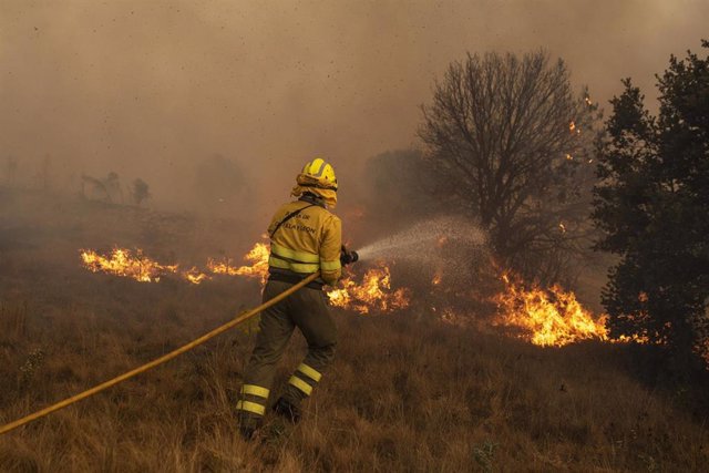 Efectivos de bomberos durante el incendio de la Sierra de la Culebra, a 18 de junio de 2022, en Zamora, Castilla y León (España). 